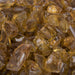 The Outdoor Plus Amber Fire Glass OPT-708