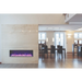 Amantii 50" Panorama Slim Indoor or Outdoor Electric Fireplace Amantii