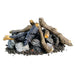 American Fyre Designs Gas Log Sets, Stones & Lava Accessories American Fyre Designs Dreamwood Living