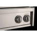 American Outdoor Grill 24" L-Series Portable Gas Grill with Rotisserie & Cart American Outdoor Grill Dreamwood Living