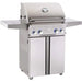 American Outdoor Grill 24" L-Series Portable 2-Burner Propane Gas Grill American Outdoor Grill Dreamwood Living