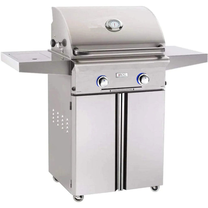 American Outdoor Grill 24" L-Series Portable 2-Burner Propane Gas Grill American Outdoor Grill Dreamwood Living
