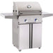 American Outdoor Grill 24" L-Series Portable 2-Burner Propane Gas Grill American Outdoor Grill Dreamwood Living