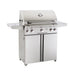 American Outdoor Grill 30" T-Series Portable 3-Burner Gas Grill American Outdoor Grill Dreamwood Living