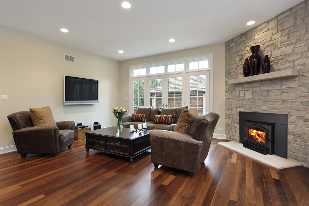 Empire Archway 2300 wood burning insert with black door in a living room