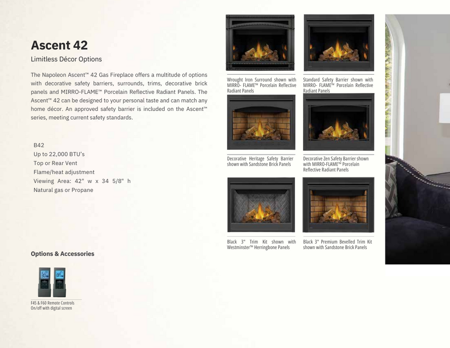 Napoleon Ascent 42 Direct Vent Gas Fireplace