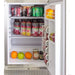 Blaze 20" Outdoor Rated Stainless Steel Compact Refrigerator 4.1 Cu. Ft. Blaze Dreamwood Living