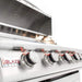 Blaze 40" 5-Burner Premium LTE Built-In Gas Grill with Lights Blaze Dreamwood Living