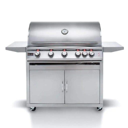Blaze 40" 5-Burner Premium LTE Freestanding Gas Grill with Lights Blaze Dreamwood Living