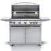 Blaze 40" 5-Burner Premium LTE Freestanding Gas Grill with Lights Blaze Dreamwood Living