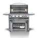 Blaze 40" 5-Burner Premium LTE Freestanding Gas Grill with Lights Blaze Dreamwood Living
