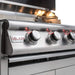 Blaze 40" 5-Burner Premium LTE Freestanding Gas Grill with Lights Blaze Dreamwood Living