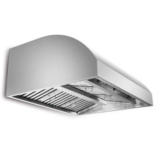 Blaze 42" Stainless Steel Outdoor Wall Vent Hood Blaze Dreamwood Living
