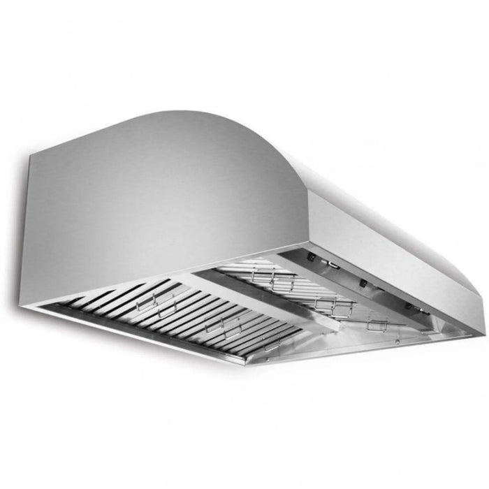 Blaze 42" Stainless Steel Outdoor Wall Vent Hood Blaze Dreamwood Living