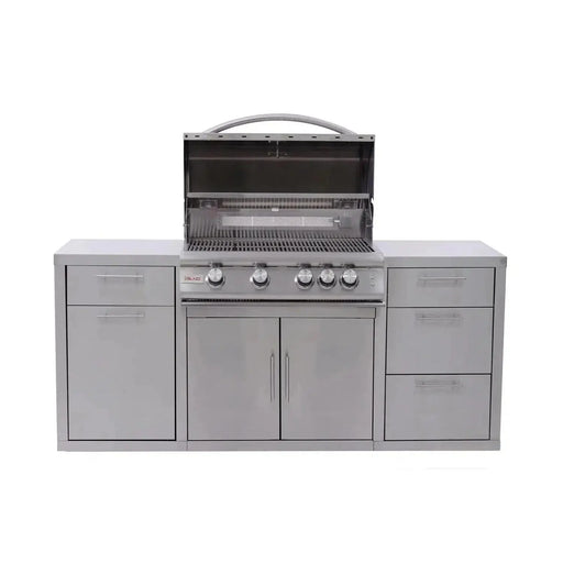 Blaze 72" Stainless Steel BBQ Island With 32" 4-Burner Premium LTE Natural Gas Grill Blaze Dreamwood Living