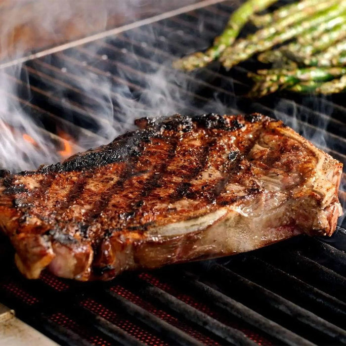 Blaze Infrared Searing Burner for Blaze Grills Blaze Dreamwood Living