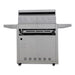 Blaze LTE+ 32" freestanding gas grill on its cart, rear view