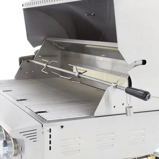 Blaze Premium LTE PRO 32-Inch 4-Burner Freestanding Gas Grill Blaze Dreamwood Living