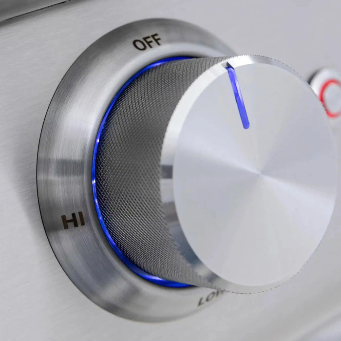 Blaze Premium LTE+ 32-Inch 4-Burner Built-In Natural Gas Grill W/ Rear Infrared Burner & Lift-Assist Hood Blaze Dreamwood Living