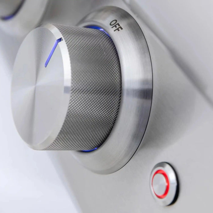 Blaze Premium LTE+ 32-Inch 4-Burner Built-In Natural Gas Grill W/ Rear Infrared Burner & Lift-Assist Hood Blaze Dreamwood Living