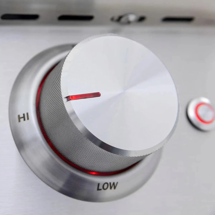 Blaze Premium LTE+ 32-Inch 4-Burner Built-In Natural Gas Grill W/ Rear Infrared Burner & Lift-Assist Hood Blaze Dreamwood Living