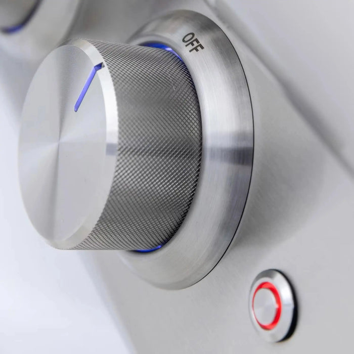 Blaze Premium LTE+ 40-Inch 5-Burner Built-In Natural Gas Grill W/ Rear Infrared Burner and Lift-Assist Hood Blaze Dreamwood Living