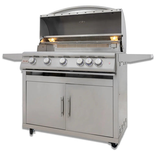 Blaze Premium LTE+ 40-Inch 5-Burner Freestanding Gas Grill Blaze Dreamwood Living