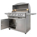 Blaze Premium LTE+ 40-Inch 5-Burner Freestanding Gas Grill Blaze Dreamwood Living