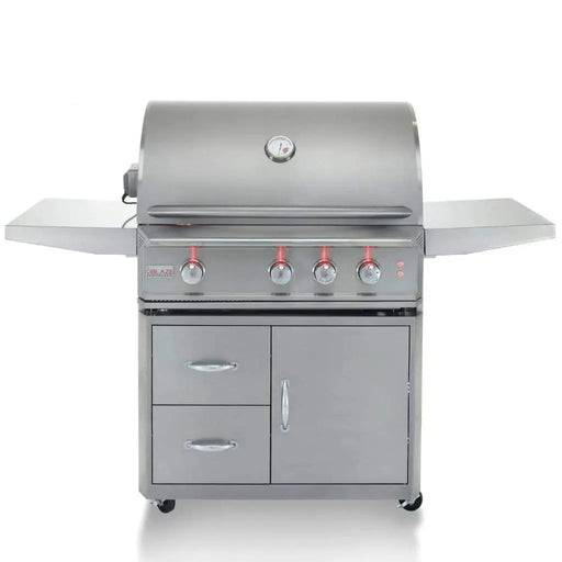 Blaze Professional LUX 34" 3-Burner Freestanding Gas Grill with Rear Infrared Burner Blaze Dreamwood Living