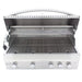 Blaze Professional LUX 44" 4-Burner Built-In Gas Grill with Rear Infrared Burner Blaze Dreamwood Living