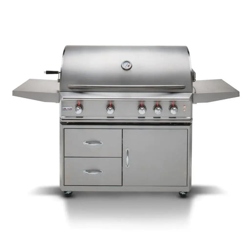 Blaze Professional LUX 44" 4-Burner Freestanding Gas Grill with Rear Infrared Burner Blaze Dreamwood Living