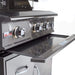 Blaze Professional LUX 44" 4-Burner Freestanding Gas Grill with Rear Infrared Burner Blaze Dreamwood Living