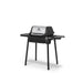 Broil King Porta-Chef 120 Broil King Dreamwood Living