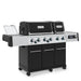 Broil King Regal Q 690 Pro IR Freestanding Broil King Dreamwood Living