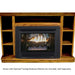 Buck Stove Model 34 Contemporary Vent Free Gas Stove Buck Stove