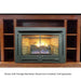 Buck Stove Model 34 Manhattan Vent Free Gas Stove Buck Stove