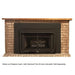 Buck Stove Model 34 Manhattan Vent Free Gas Stove Buck Stove