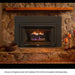 Buck Stove Model 34 Manhattan Vent Free Gas Stove Buck Stove