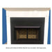 Buck Stove Model 42ZCBB Vent Free Builder Series Gas Firebox Buck Stove
