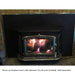 Buck Stove Model 91 Catalytic Wood Burning Stove with Door Buck Stove