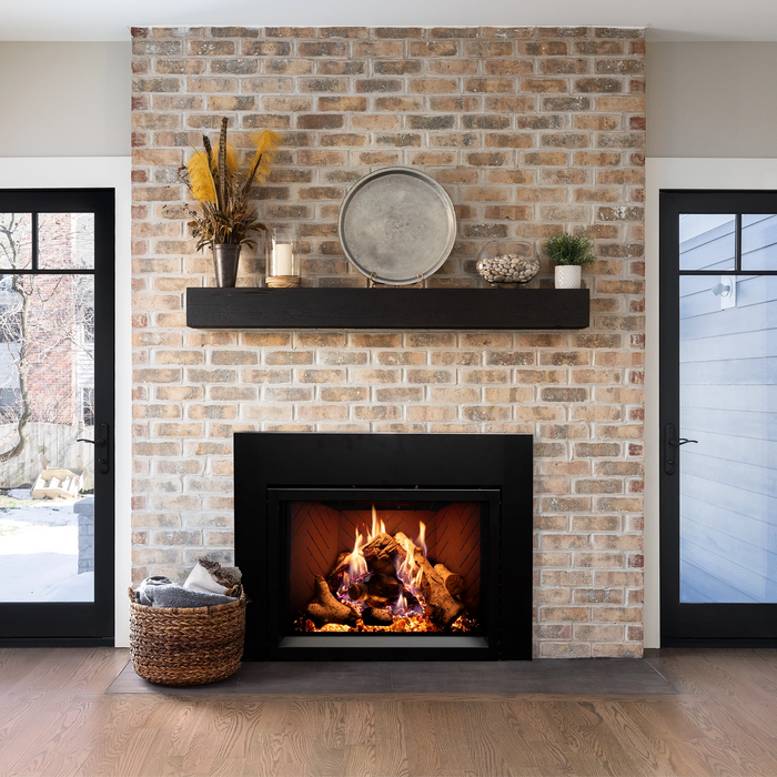 Empire 34" Rainier Premier Direct Vent Fireplace Insert