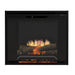 Dimplex Revillusion 30" Built-In Electric Firebox, Black - REV30-BL Dimplex Dreamwood Living