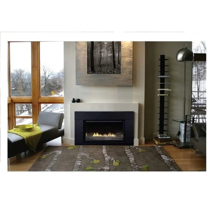 Empire 40" Loft Small Direct-Vent Gas Fireplace Insert (20,000 BTU) Empire Comfort Systems