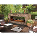 Empire Carol Rose 48" Manual Control, 55K/35K BTU Outdoor Linear See-Thru Fireplace Empire Comfort Systems