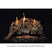 Grand Canyon 18" to 30" Red Oak Vent Free Gas Logs Grand Canyon Dreamwood Living