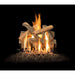 Grand Canyon 18" to 42" Arizona Juniper Vented Gas Logs Grand Canyon Dreamwood Living