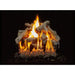 Grand Canyon 18" to 42" Western Driftwood See Through Vented Gas Logs Grand Canyon Dreamwood Living