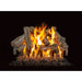 Grand Canyon 18" to 42" Western Driftwood See Through Vented Gas Logs Grand Canyon Dreamwood Living