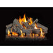 Grand Canyon 18" to 42" Western Driftwood See Through Vented Gas Logs Grand Canyon Dreamwood Living