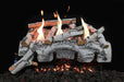 Grand Canyon Aspen Birch 24" White Ventless Gas Logs Grand Canyon Dreamwood Living